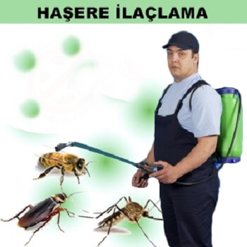 Çarşamba Böcek İlaçlama